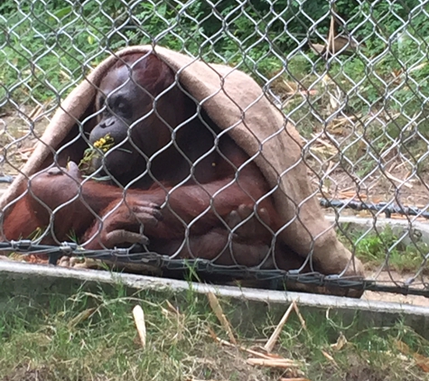 Los Angeles Zoo and Botanical Gardens - Los Angeles, CA