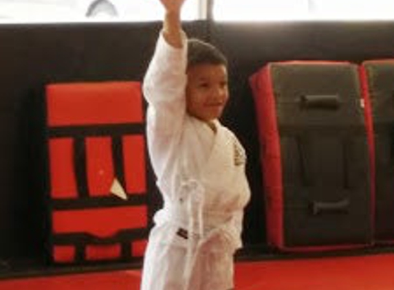 Boca Raton Karate & Kickboxing Academy - Boca Raton, FL