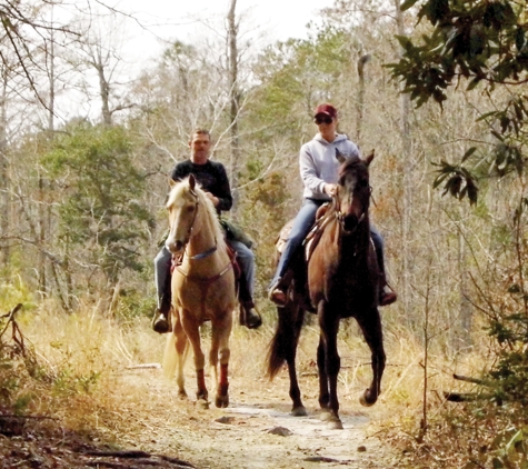 Mobile Horse Farrier - Southport, NC