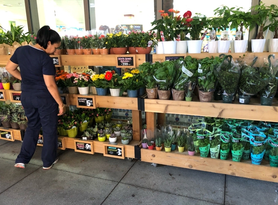 Trader Joe's - Los Angeles, CA