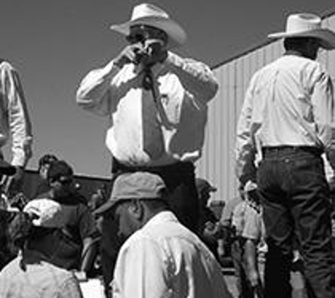 Auctioneers Miller & Associates - Brush, CO