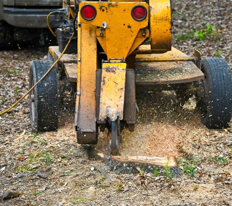 Affordable Stump Grinding - Elanora, QLD