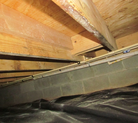 Mold Masters, Inc. - Eddyville, KY. Mold in Crawl space