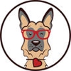 Smarty Paws Canine Care gallery