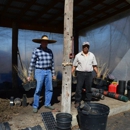 Barton Springs Nursery Wholesale - Conrad Bering III - Nurseries-Plants & Trees