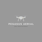 Pegasus Aerial