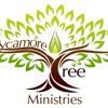 Sycamore Tree Church gallery