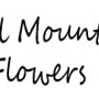 Coal Mountain Flowers