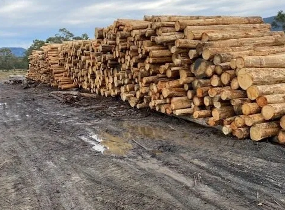 Firewood Devils - Leslie Vale, TAS
