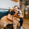 Sploot Veterinary Care - Arvada gallery