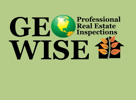 Geo Wise Professional Inspections - san antonio, TX