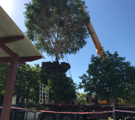 Skilled Tree Services Pty Ltd - Mundingburra, QLD