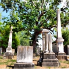 Mount Holly Cemetery