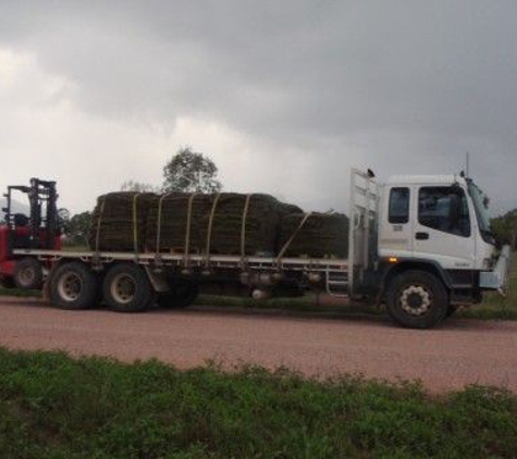 Great Northern Turf - Gumlow, QLD
