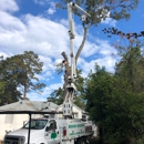 Broken Branch Tree Service - Tree Service