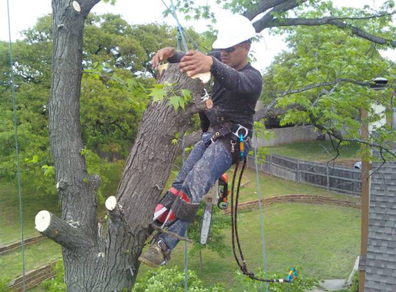 Linders Tree & Lawn - Sand Springs, OK