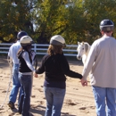 Contact With Horses LLC - Educational Services