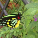 Butterfly World - Amusement Places & Arcades