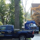 Happy Trees By M.G.M. Tree Service, LLC - Stump Removal & Grinding