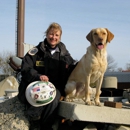 Cold Creek Dog Training, Guaranteed Dog Training Programs - Pet Boarding & Kennels