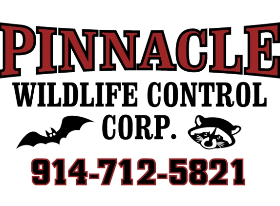 Pinnacle Wildlife control - White Plains, NY