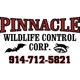 Pinnacle Wildlife control