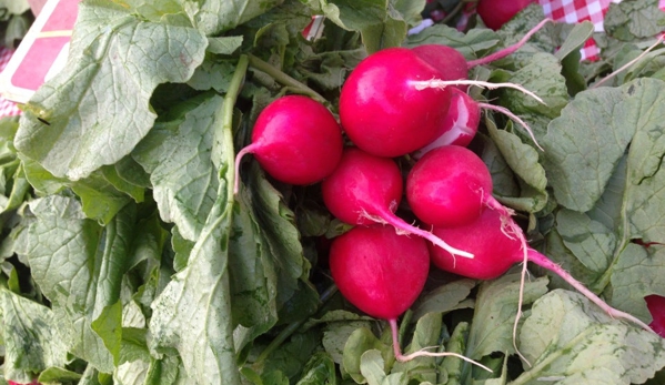 Hollywood Farmers Market - Portland, OR