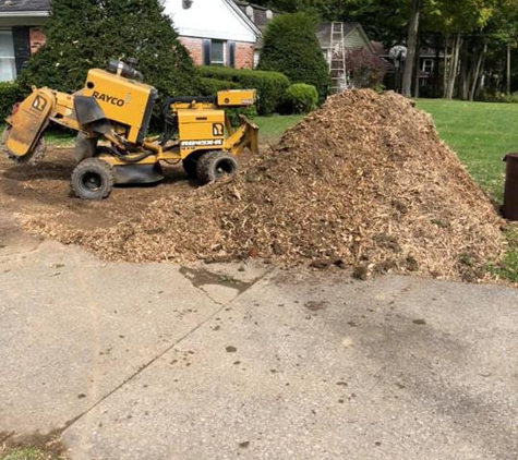 Brunty's Stump Grinding, L.L.C. - Mantua, OH