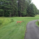 Eagle River Golf Course - Golf Courses