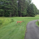 Eagle River Golf Course