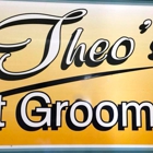 Theo's Pet Grooming & Tiny Poodles 4sale