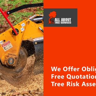 All About Tree Services QLD - Elanora, QLD. We Offer Obligation Free Quotations And Tree Risk Assessments