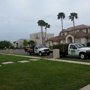 Dominguez Carpet Grass - Lawn Maintenance