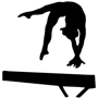 Maximum Velocity Gymnastics, Inc.