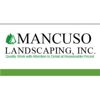Mancuso Landscaping Inc gallery