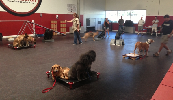 Sit Means Sit Dog Training - San Jose, CA