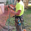 Certified Tree Care & Landscape gallery