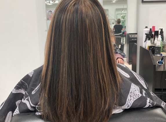 Luminous Dominican Hair Salon - Pembroke Pines, FL. Highlights, blowout