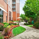 Staybridge Suites Chattanooga Dwtn - Conv Ctnr by IHG - Hotels