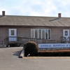 Animal Hospital Of Putnam gallery