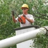 Clinton Tree Service gallery