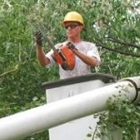 Clinton Tree Service