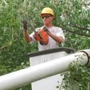 Clinton Tree Service