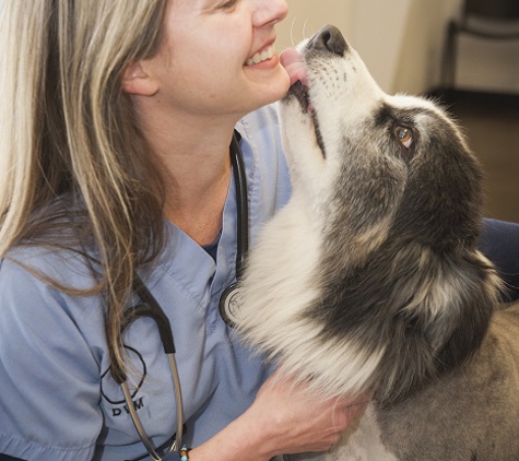 Animal Clinic of Woodruff - Woodruff, SC