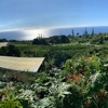 Heavenly Hawaiian Farms gallery