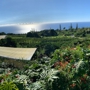 Heavenly Hawaiian Farms