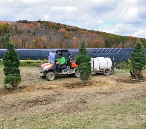 Finger Lakes Forest Management & Timber Harvesting, LLC - Interlaken, NY