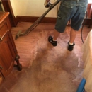 Allstar Carpet & Upholstery Care - Upholstery Cleaners