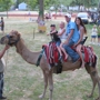 Nature's Creek Camel Rides/Exotic Zoo