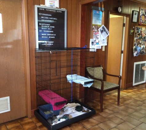 Davie Veterinary Clinic - Davie, FL